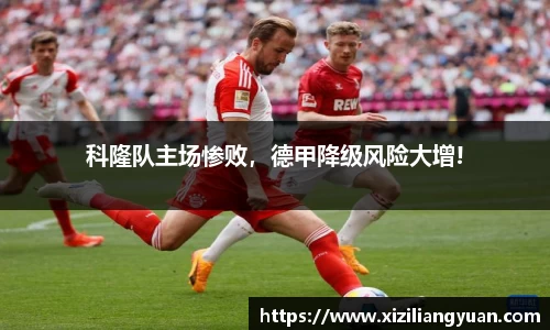 77体育在线直播官网