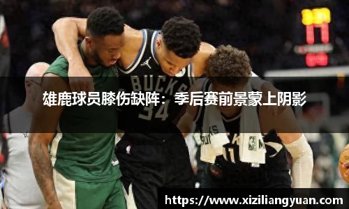 雄鹿球员膝伤缺阵：季后赛前景蒙上阴影