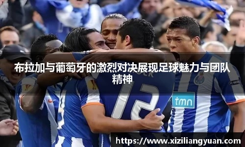 77体育在线直播官网