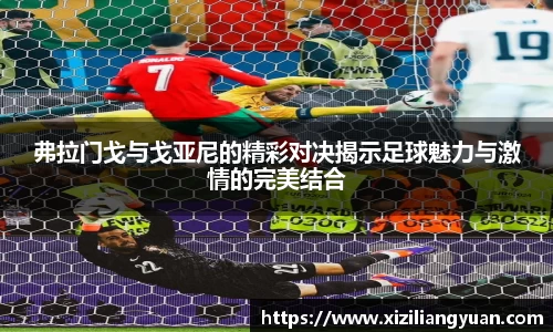 弗拉门戈与戈亚尼的精彩对决揭示足球魅力与激情的完美结合