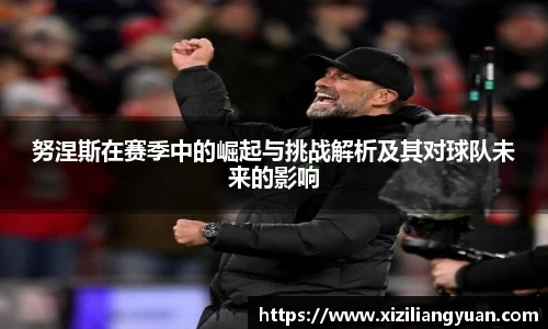 努涅斯在赛季中的崛起与挑战解析及其对球队未来的影响