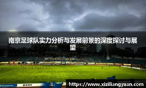 南京足球队实力分析与发展前景的深度探讨与展望